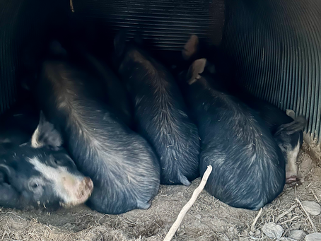 91% of Resolutions...