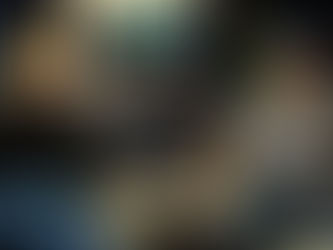 Merry Christmas, Y'all!