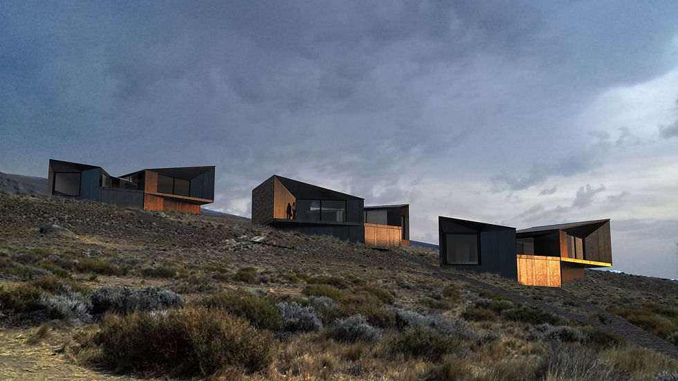 Patagonia- Mariposas-2.jpg