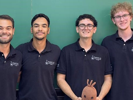 Conheça a DIREX de 2026 da Paracelso