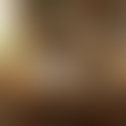 2025년 자비출판 비용 1인 기준 평균 금액