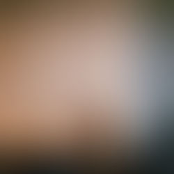 2021년 11월 단행본 대필 현황