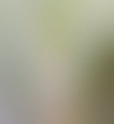 잘 팔지 못하면 망하는 출판사(feat.기획출판)