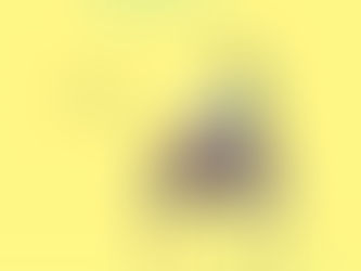 출간도서: 숨은 듯 살아있는(2022)