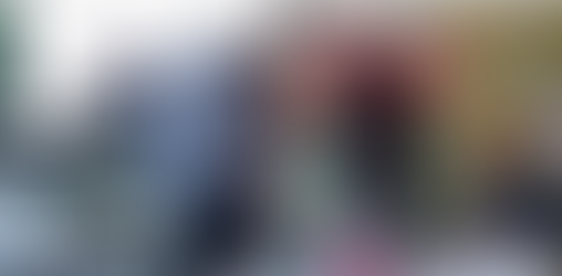 Grass Roots Engagement with The Animation Project (TAP)