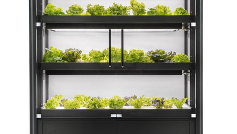 팜인후레쉬로 매장에서 직접재배하는 소형 스마트팜입니다.