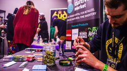 Northwest Cannabis Solutions