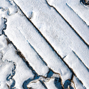 marsh drone winter.jpg