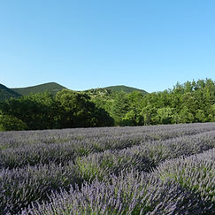 DSCN0045.JPG