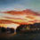 Thumbnail: "Tree Line" by Linda Barr
