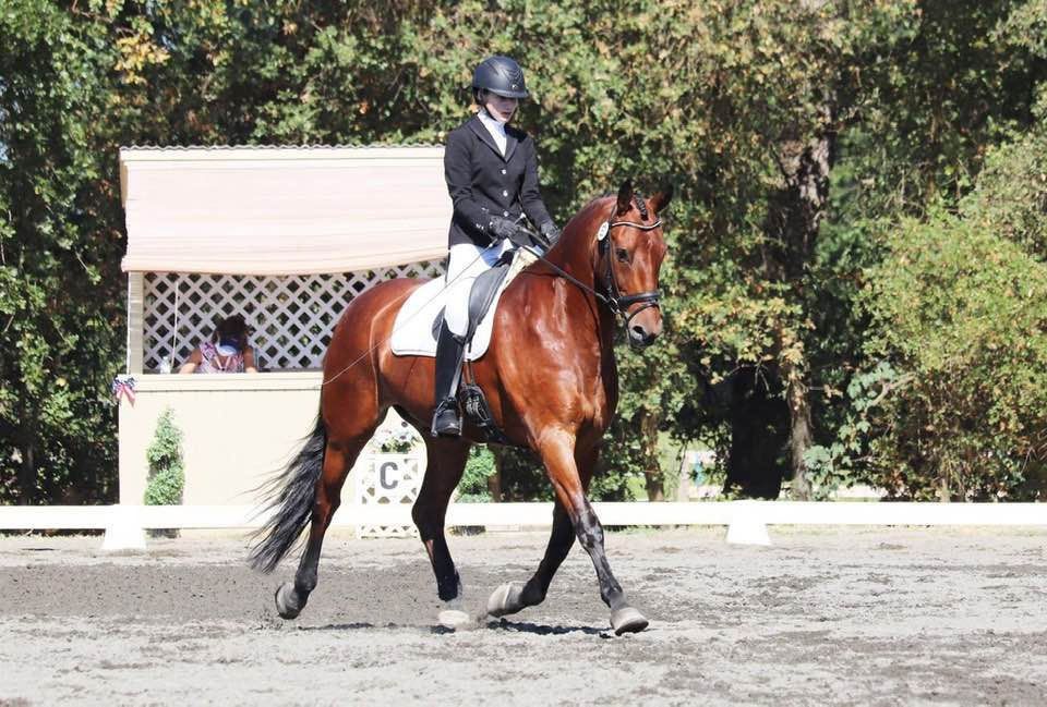 PEC Horse Park Dressage Show (USDF, USEF, CDS) #1 Sunday