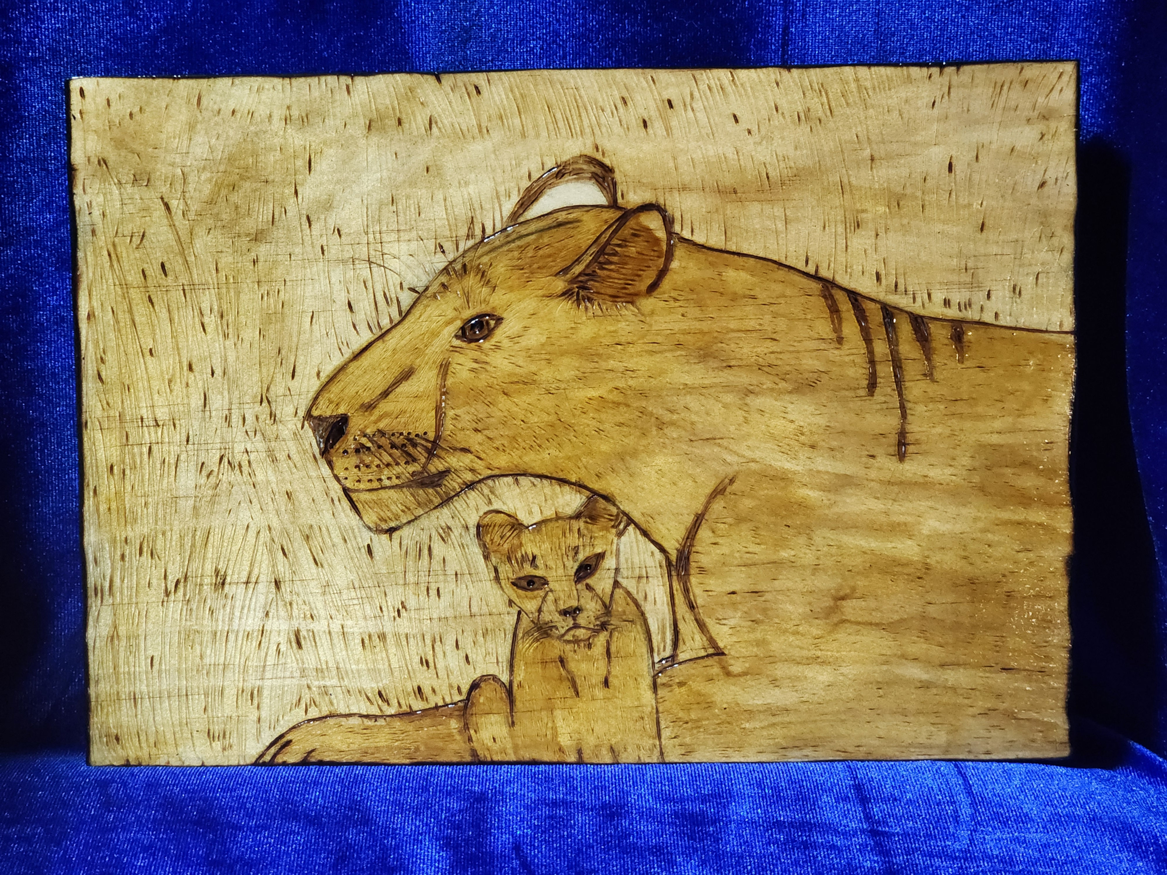 Lioness with her Cub