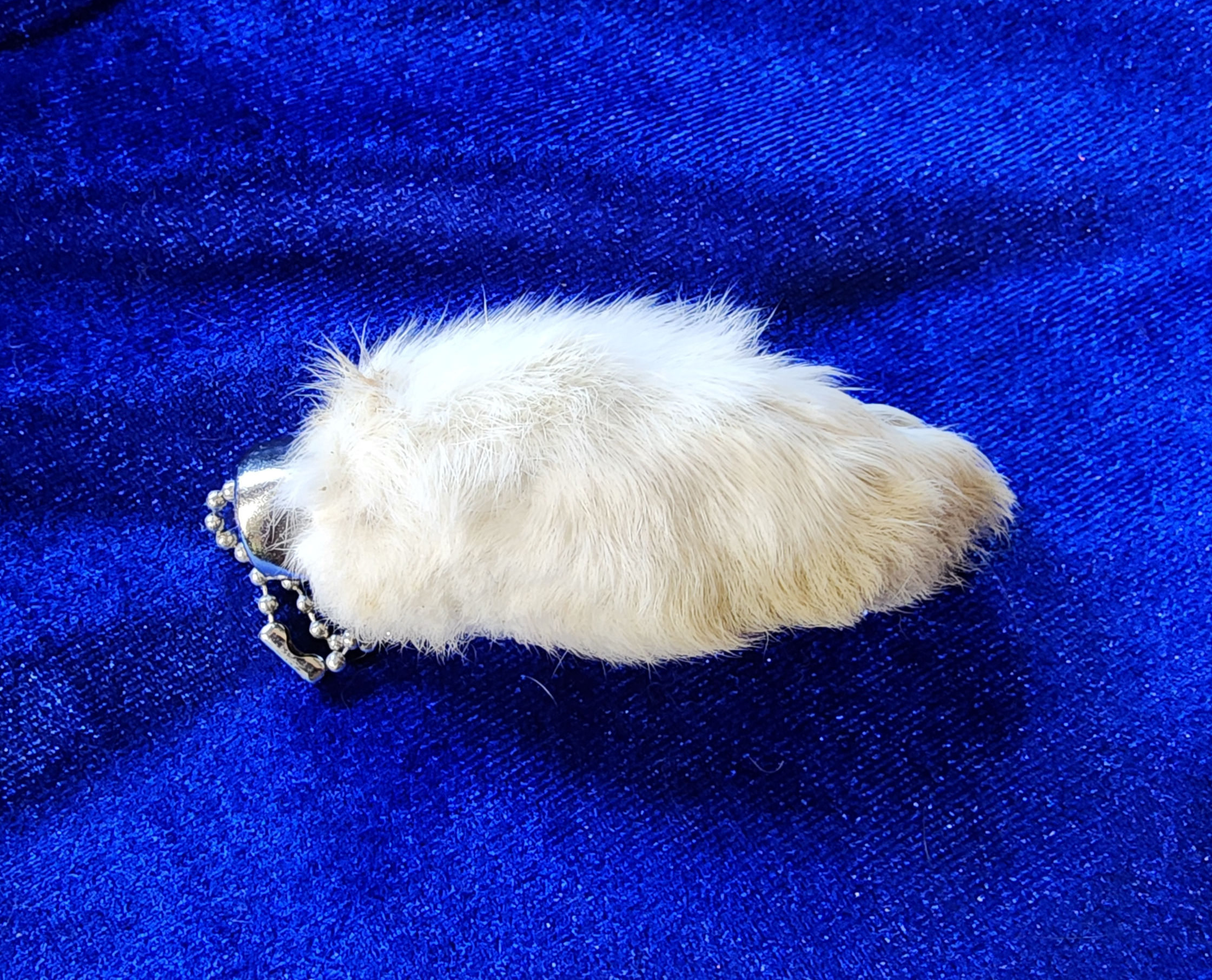 LuckyRabbits Foot