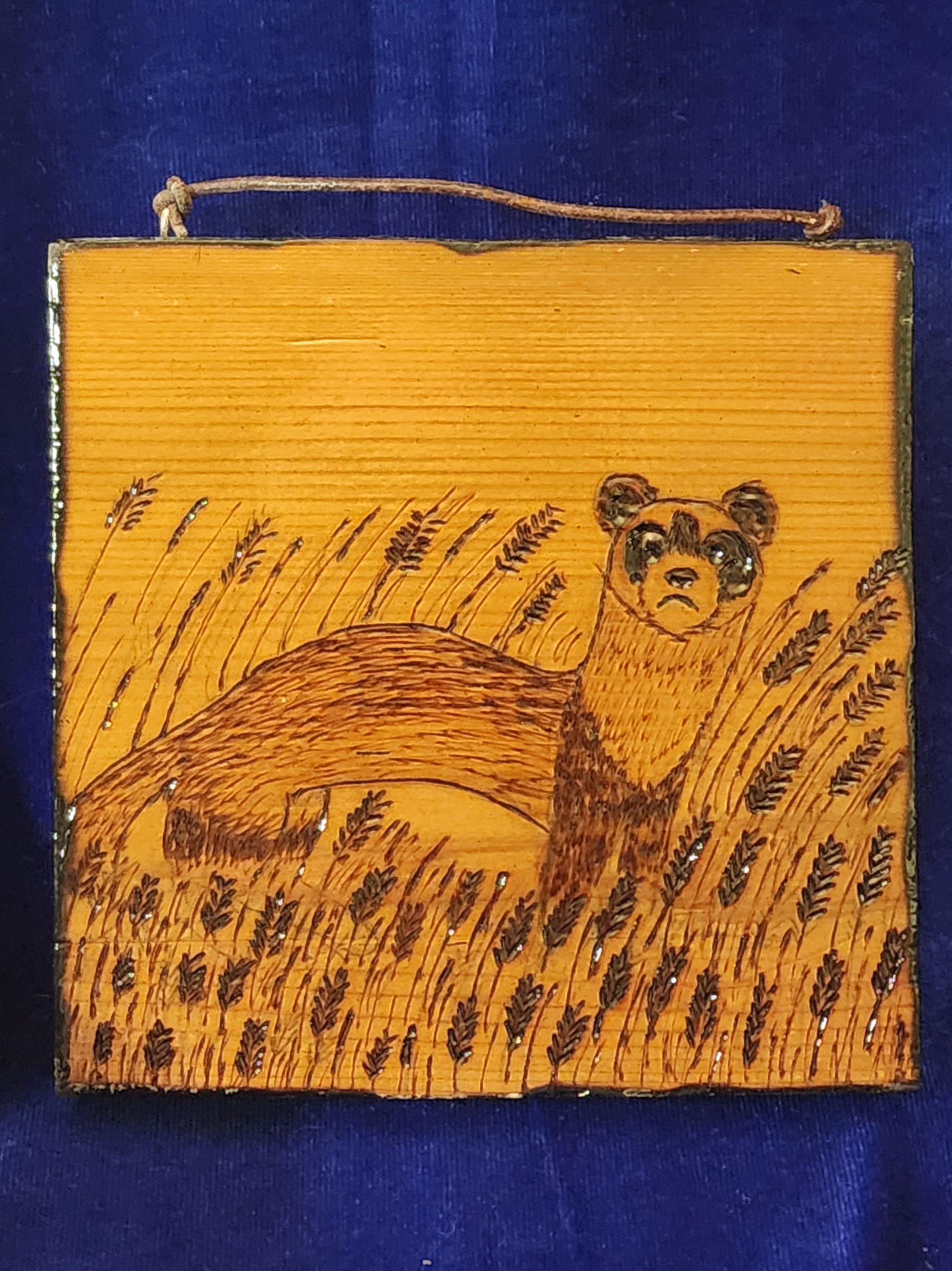 Black-footed Ferret