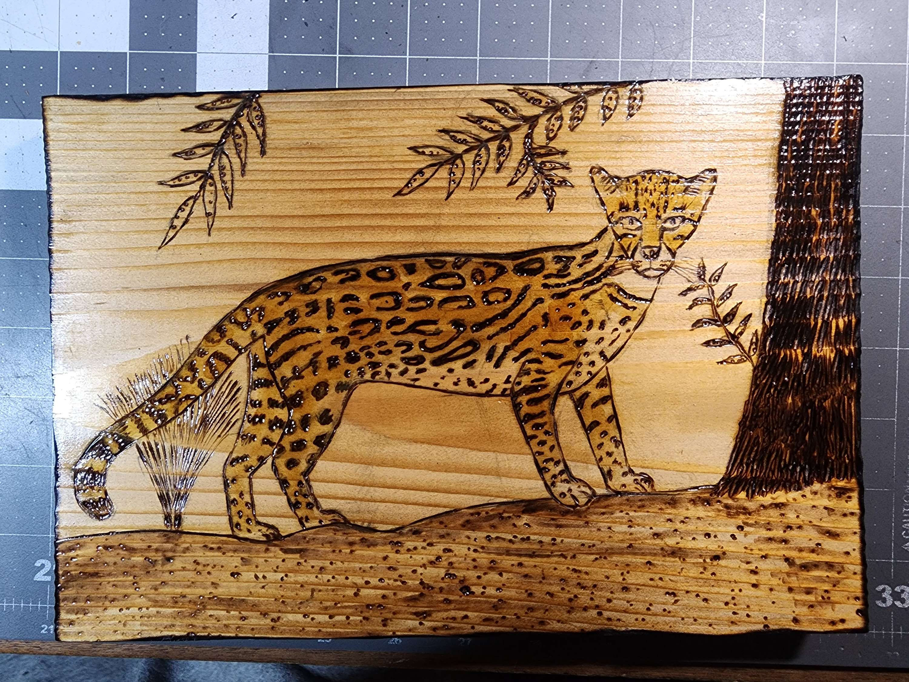 Ocelot