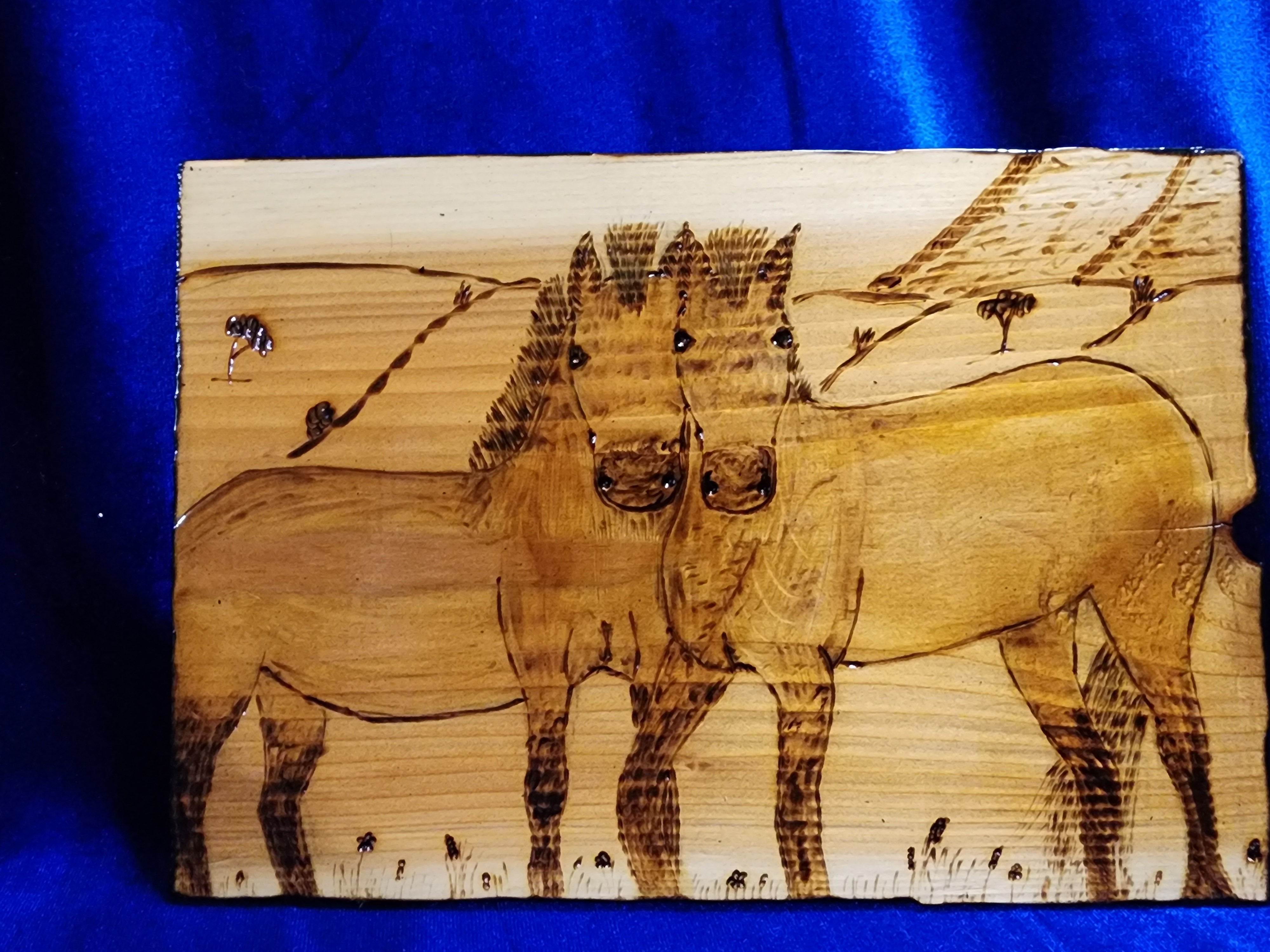 Przewalski's horse