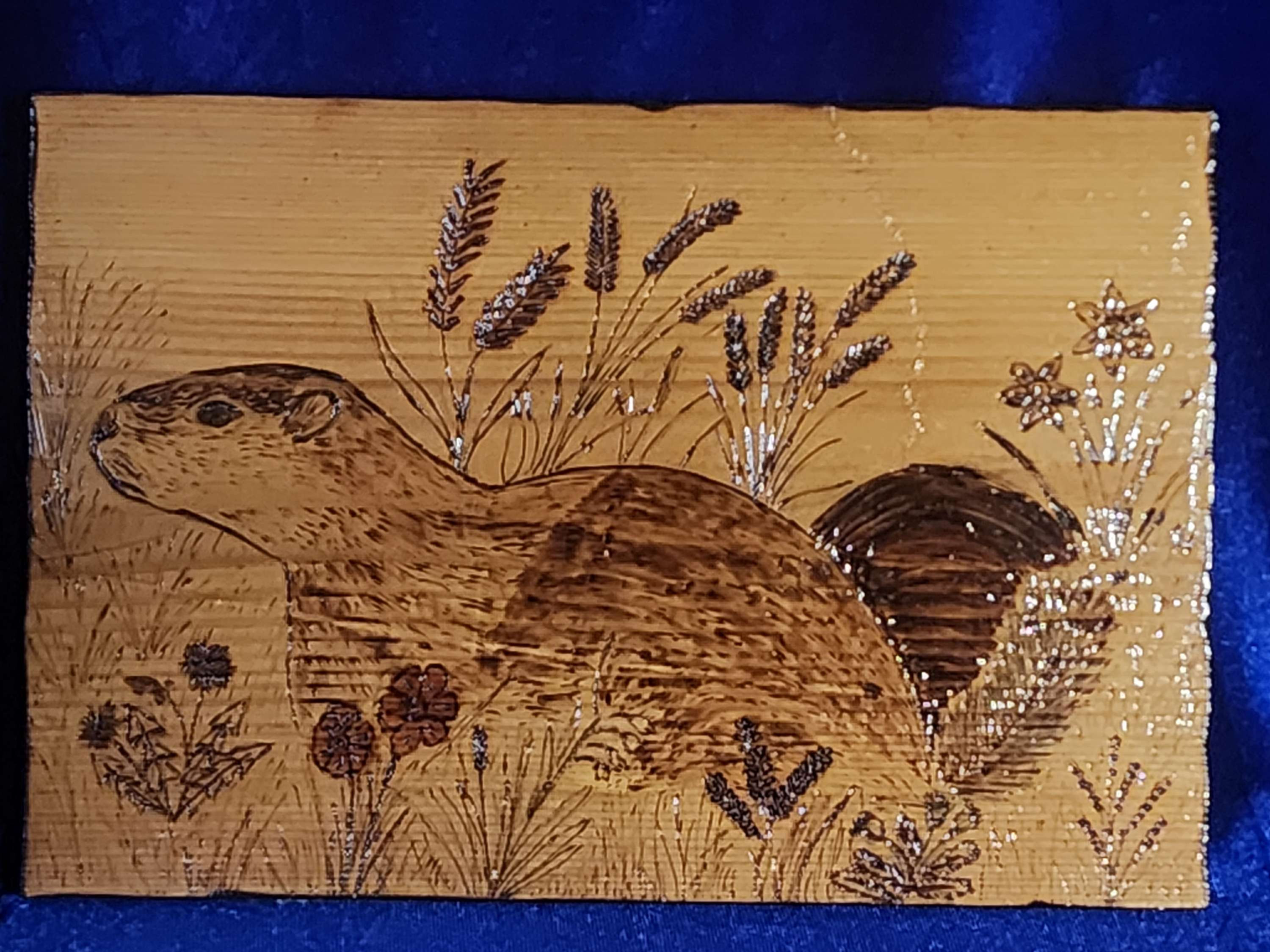 Groundhog