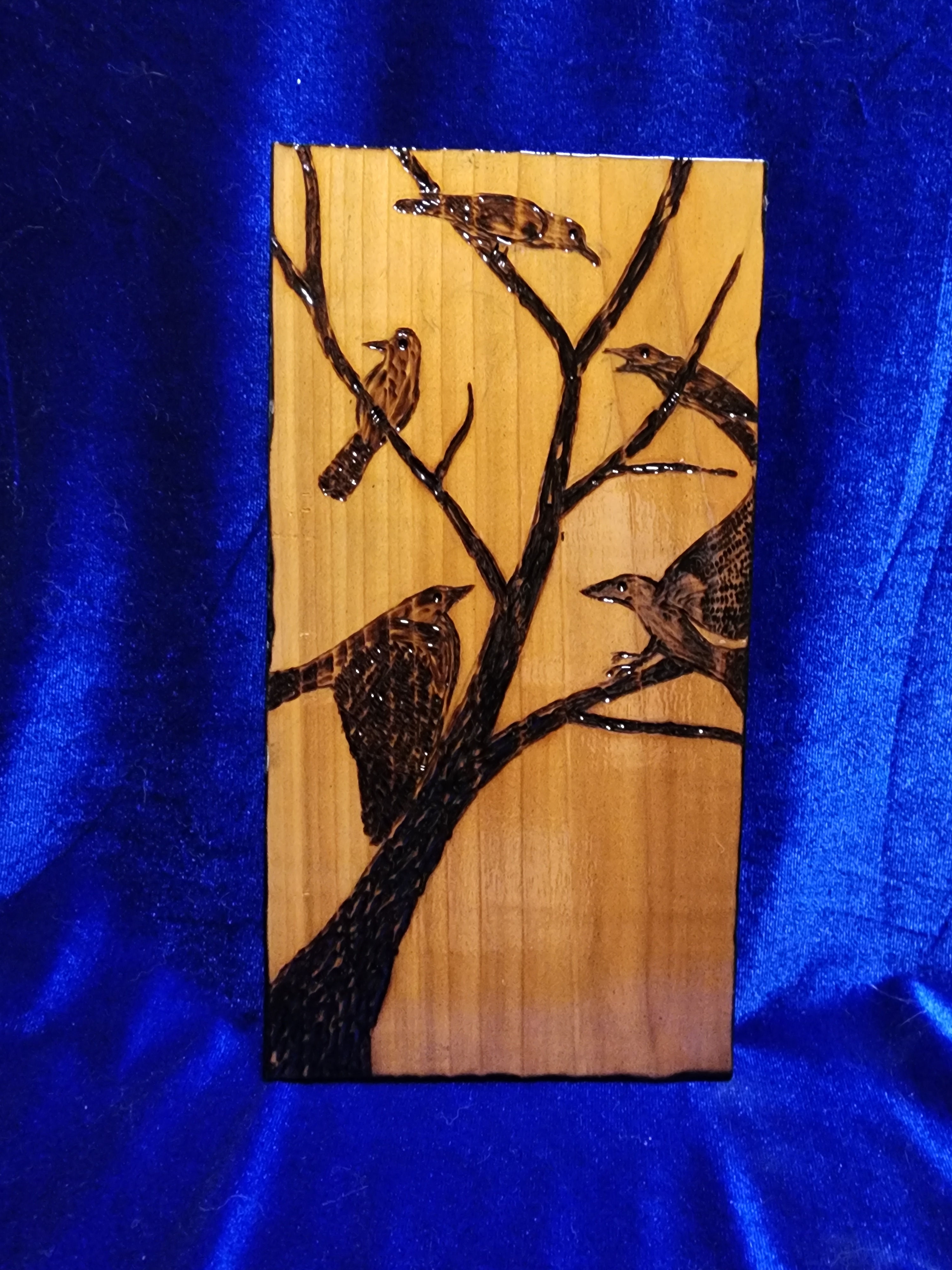 A Murder of Crows