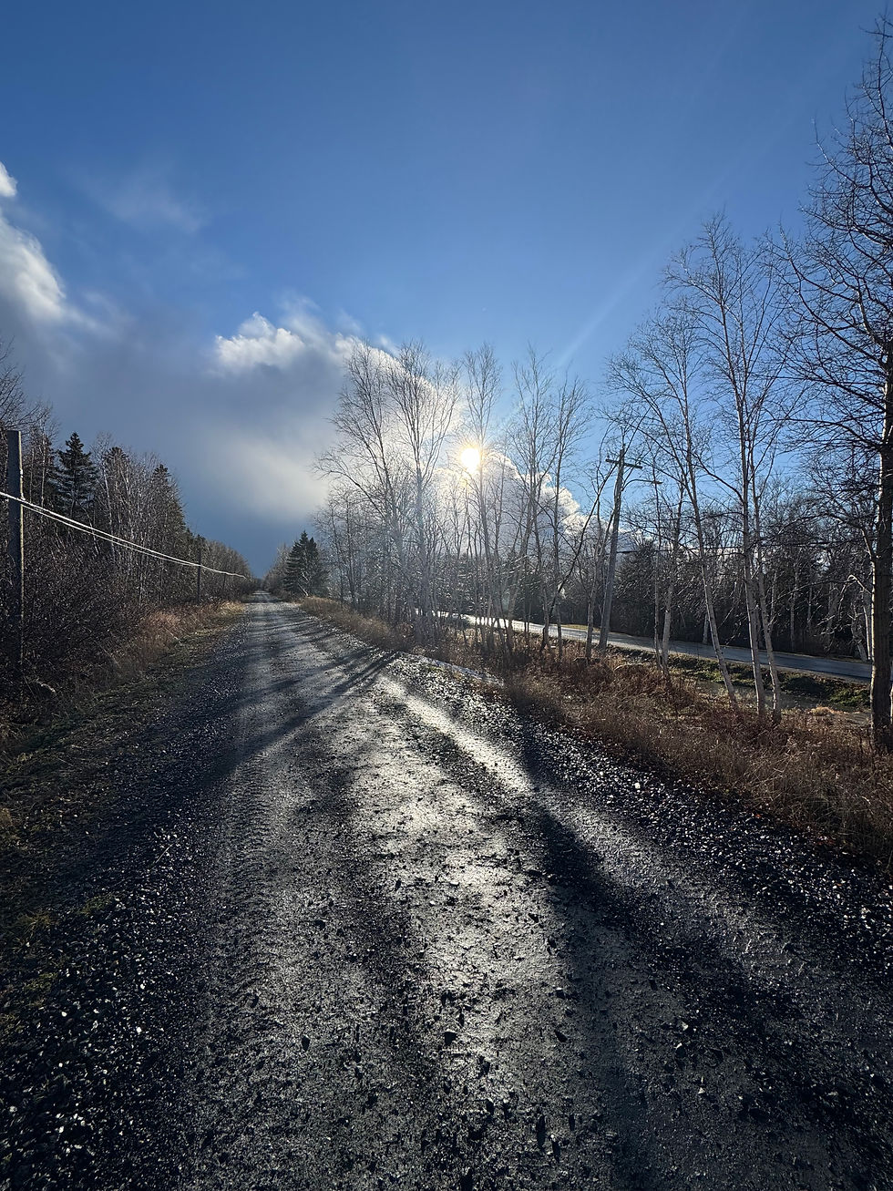 10 días en Canada / primer mes 