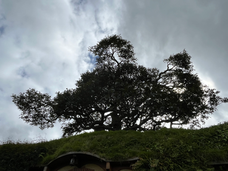 Cerrar la puerta con cariño