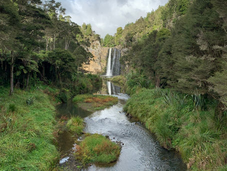 Uno vuelve siempre, a los viejos sitios, donde amó la vida