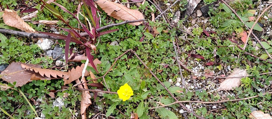 冬季休室のお知らせ