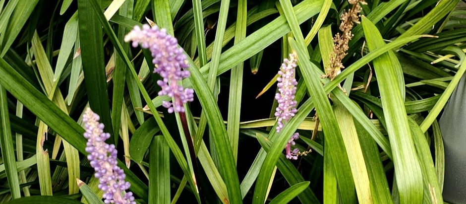夏季休室について