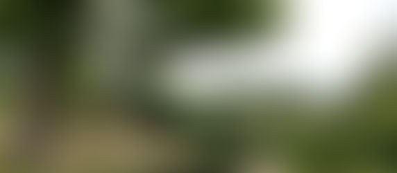 夏季休室について