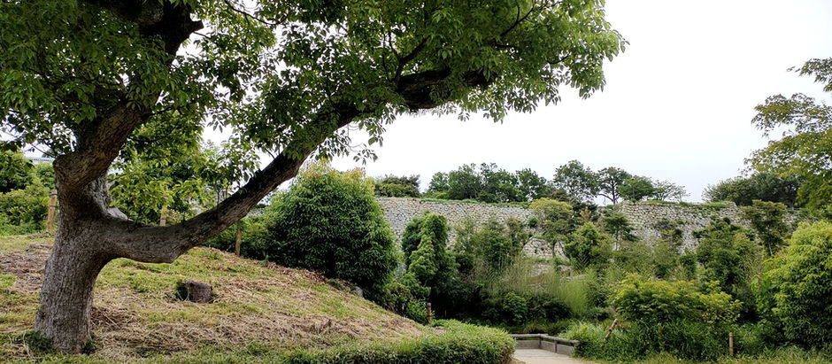 夏季休室について