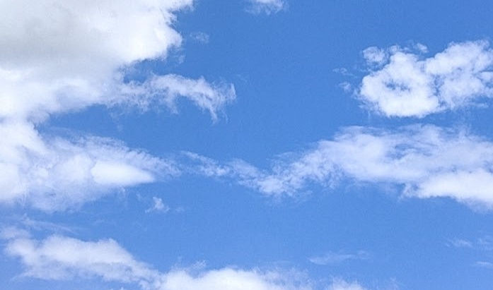 梅雨が明けました