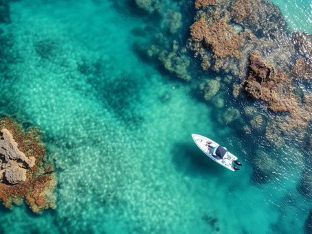 The Great Barrier Reef: Sail the World’s Largest Coral Ecosystem