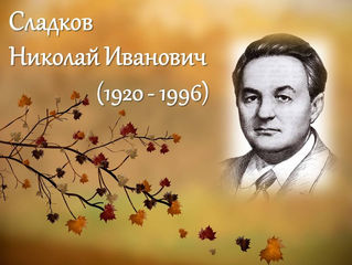 Лесные странички