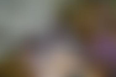 Медиалаборатория "КомиксБатыр"