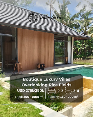 2 villas for sale in ubud
