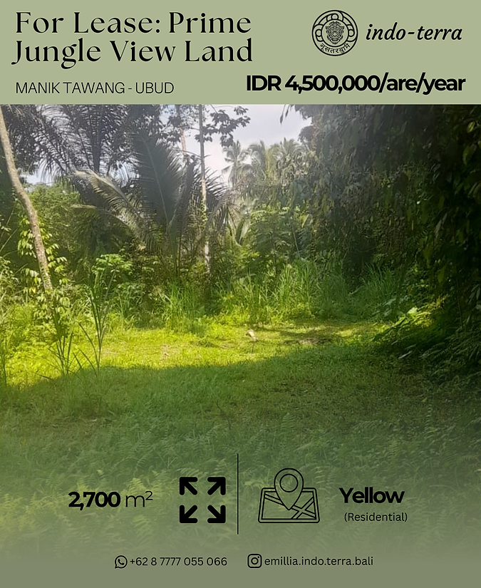 Prime Jungle View Land Yellow Zone near Ubud