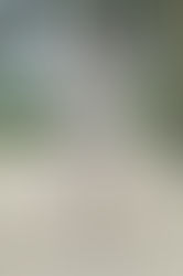 PARIS S/S 2018 couture - HIANDRA MARTINEZ for CHANEL