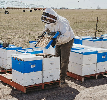 2023 Spring - Bee Storages 44_edited.jpg