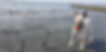 101620165_10158106788840991_422699846270