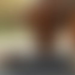 HOW MUCH WATER DO DOGS NEED TO DRINK DAILY FOR OPTIMAL HEALTH?