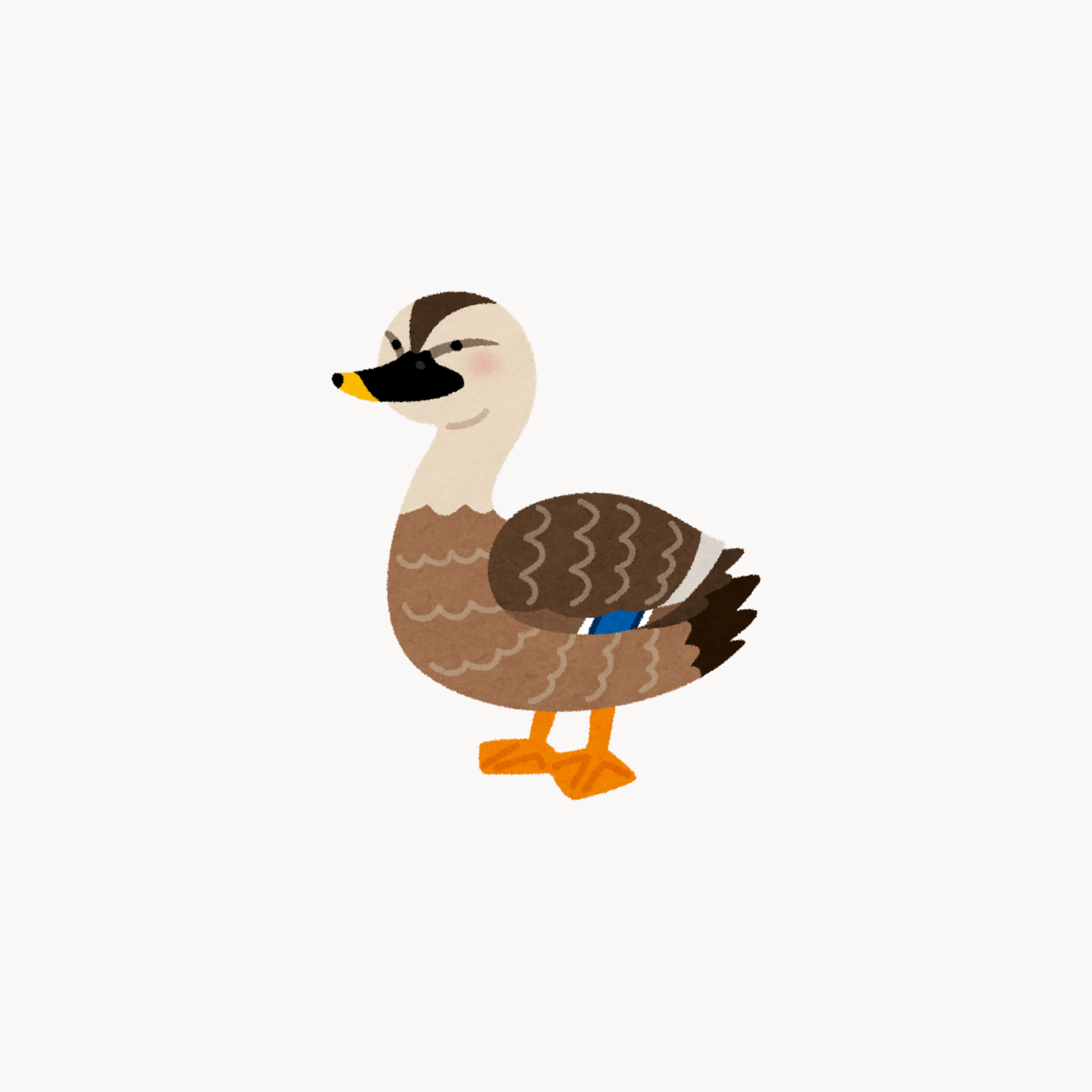 DUCK (COMING SOON)