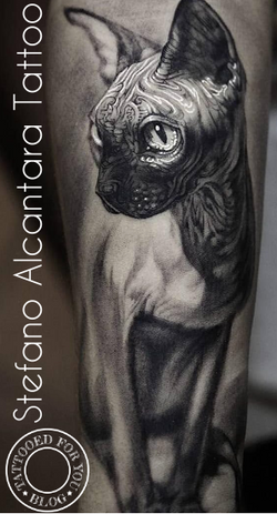Stefano Alcantara Tattoo Stúdio