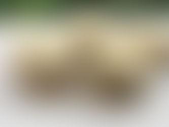 Alfajores, Cookies Argentina Isi Dulche de Leche