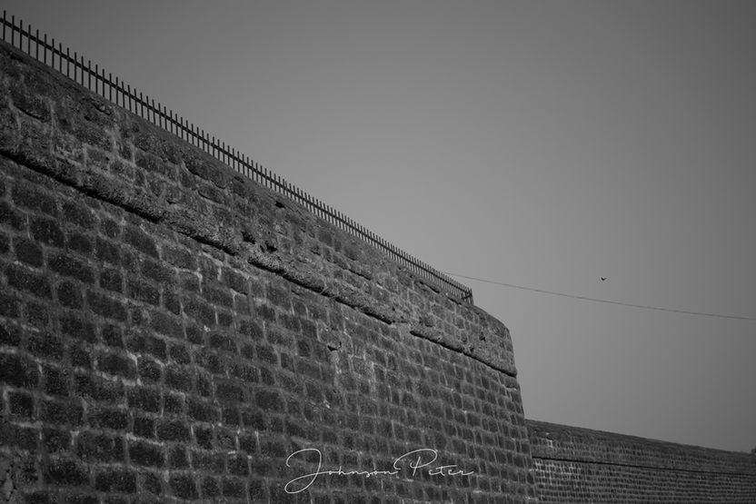 DSC_5666-2.jpg