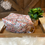 Thumbnail: Pod {Medium Sized Bag}
