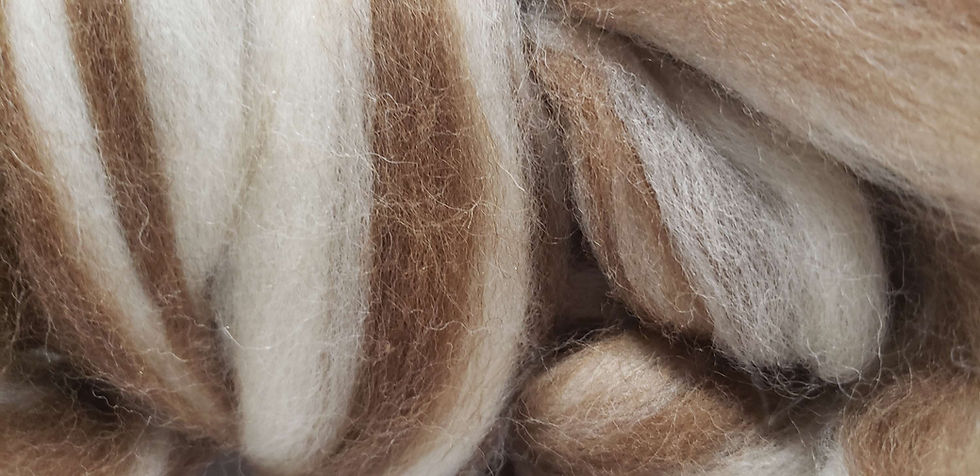 Thumbnail: Two Tone Natural color Shetland