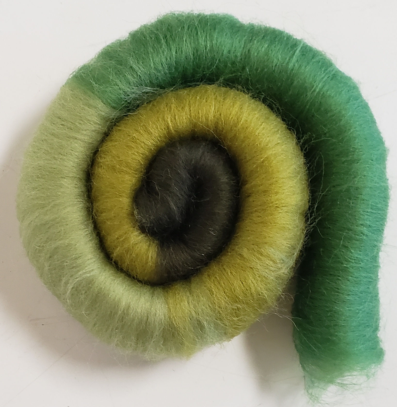 Northwest Forest ~ Gradient Rolags