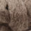 Thumbnail: Grey Norwegian wool roving