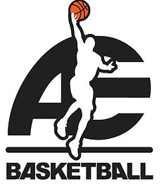 AE Logo2_edited.jpg