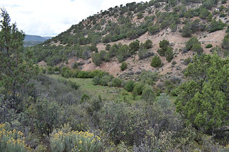 FishCreekBDAs.jpg