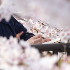 photo by kisaragi en